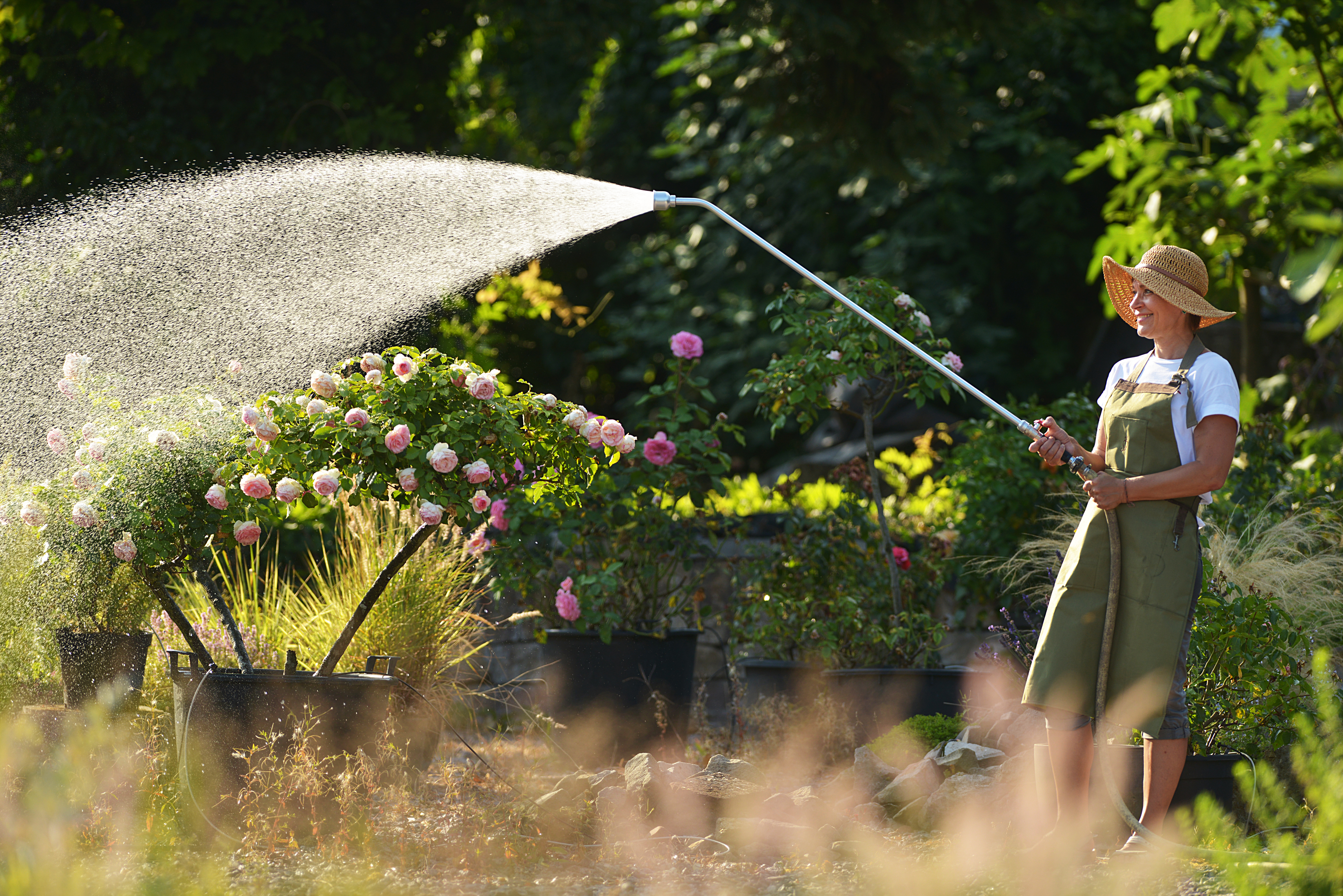 Frühlingsaktion Gießgeräte