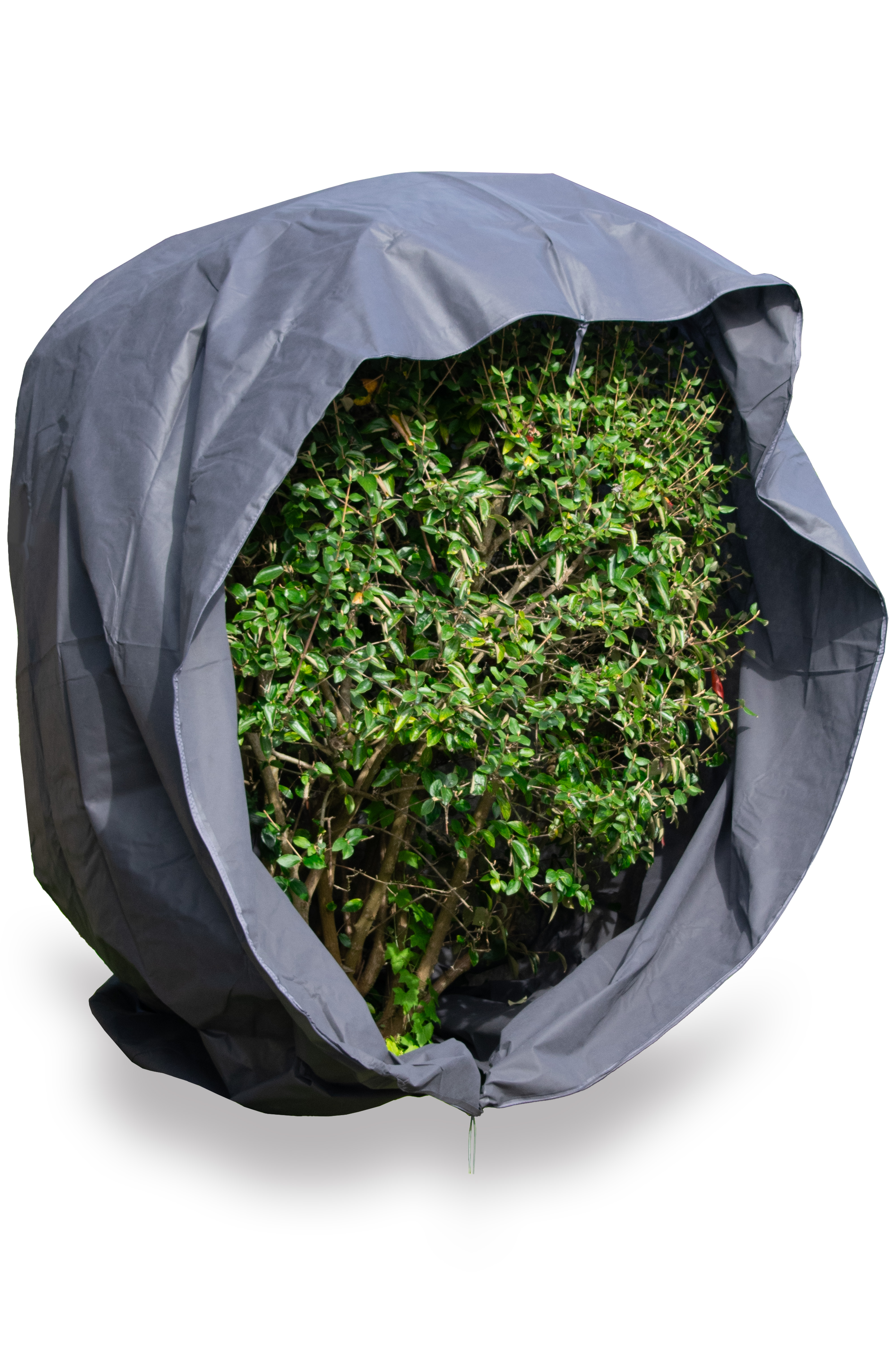 200 x 240 cm Premium XXL Winterschutz für Pflanzen, grau, draußen, Reißverschluss, Zugband 200 x 240 cm Premium XXL Winterschutz für Pflanzen, grau, draußen, Reißverschluss, Zugband
